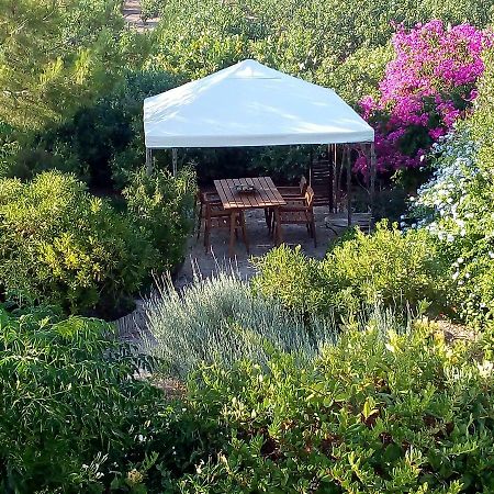 Aegina'S Oasis Villa Ngoại thất bức ảnh