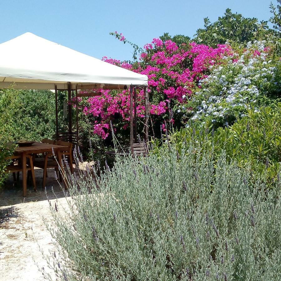Aegina'S Oasis Villa Ngoại thất bức ảnh