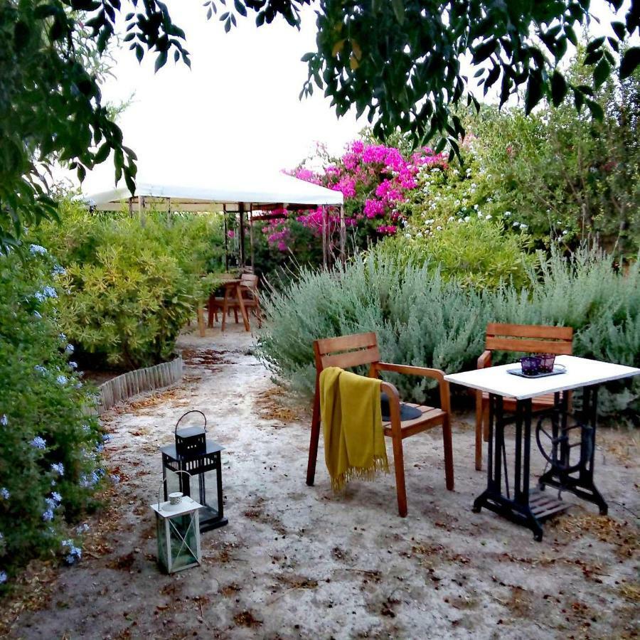 Aegina'S Oasis Villa Ngoại thất bức ảnh